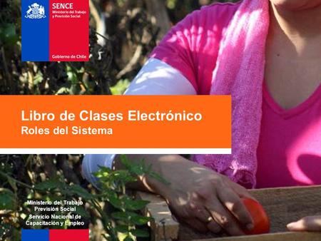 Libro de Clases Electrónico Roles del Sistema Ministerio del Trabajo Previsión Social Servicio Nacional de Capacitación y Empleo.