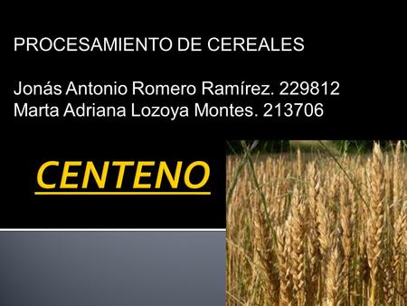 PROCESAMIENTO DE CEREALES Jonás Antonio Romero Ramírez. 229812 Marta Adriana Lozoya Montes. 213706.