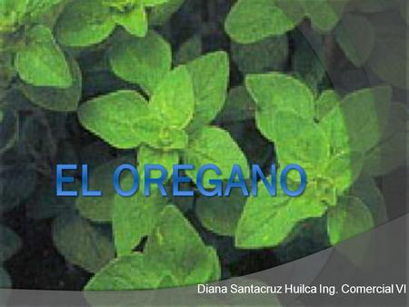Diana Santacruz Huilca Ing. Comercial VI