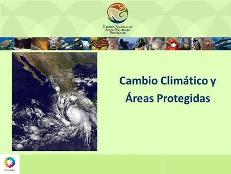 Cambio Climático y Áreas Protegidas.