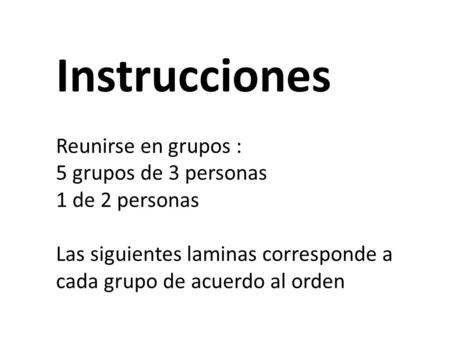 Instrucciones Reunirse en grupos : 5 grupos de 3 personas 1 de 2 personas Las siguientes laminas corresponde a cada grupo de acuerdo al orden.