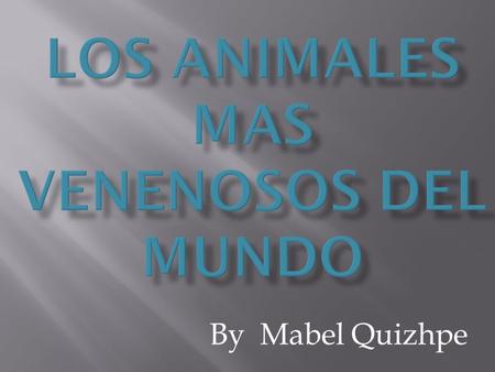 LOS ANIMALES MAS VENENOSOS DEL MUNDO