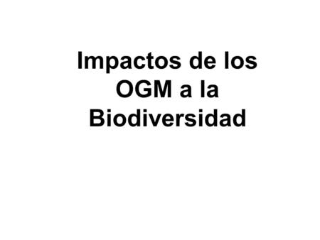 Impactos de los OGM a la Biodiversidad