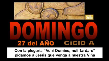 Con la plegaria “Veni Domine, noli tardare” pidamos a Jesús que venga a nuestra Viña 27 del AÑO.