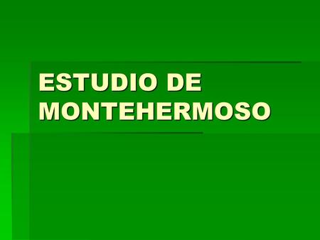 ESTUDIO DE MONTEHERMOSO