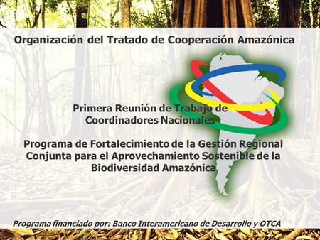 OTCA Organización del Tratado de Cooperación Amazónica Programa de Fortalecimiento de la Gestión Regional Conjunta para el Aprovechamiento Sostenible de.