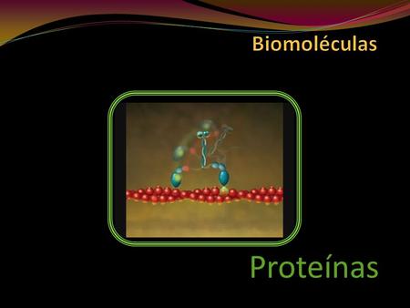Biomoléculas Proteínas.