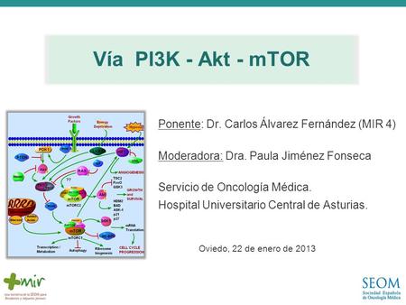 Vía PI3K - Akt - mTOR Ponente: Dr. Carlos Álvarez Fernández (MIR 4)