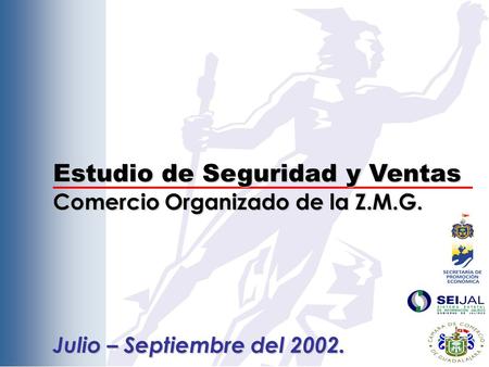Estudio de Seguridad y Ventas Comercio Organizado de la Z.M.G. Julio – Septiembre del 2002.