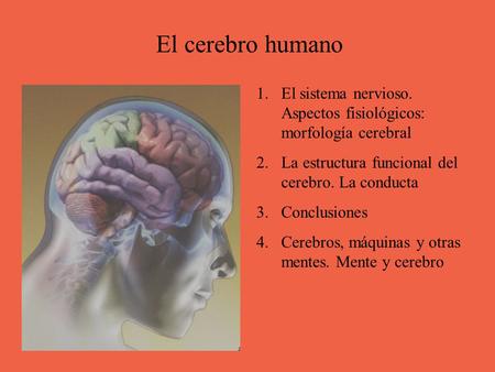El cerebro humano El sistema nervioso. Aspectos fisiológicos: morfología cerebral La estructura funcional del cerebro. La conducta Conclusiones Cerebros,