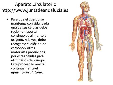 Aparato Circulatorio http://www.juntadeandalucia.es/ Para que el cuerpo se mantenga con vida, cada una de sus células debe recibir un aporte continuo de.