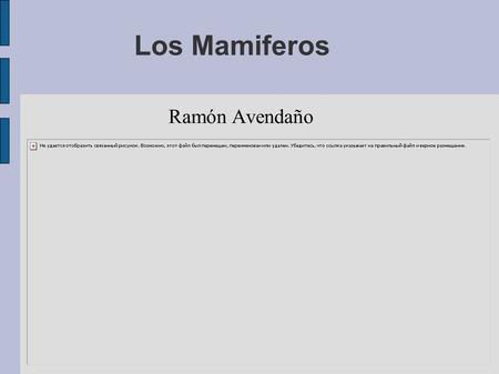 Los Mamiferos Ramón Avendaño.
