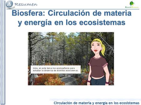 Biosfera: Circulación de materia y energía en los ecosistemas