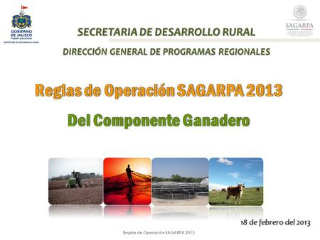 Reglas de Operación SAGARPA 2013 SECRETARIA DE DESARROLLO RURAL DIRECCIÓN GENERAL DE PROGRAMAS REGIONALES 18 de febrero del 2013.
