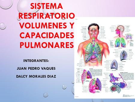 SISTEMA RESPIRATORIO VOLUMENES Y CAPACIDADES PULMONARES