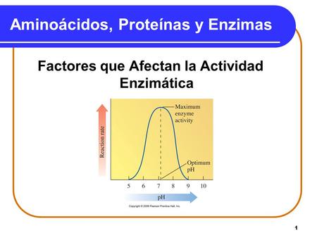 1 Aminoácidos, Proteínas y Enzimas Factores que Afectan la Actividad Enzimática.