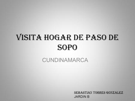 VISITA HOGAR DE PASO DE SOPO CUNDINAMARCA SEBASTIAN TORRES GONZALEZ JARDIN B.