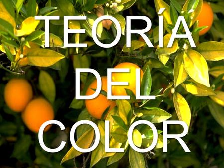 TEORÍA DEL COLOR.