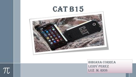 CAT B15 BIBIANA CORREA LEIDY PEREZ LUZ M. RIOS. CAT B15 El equipo cuenta con una pantalla de 4 pulgadas con resolución WVGA de 800x480 píxeles, procesador.