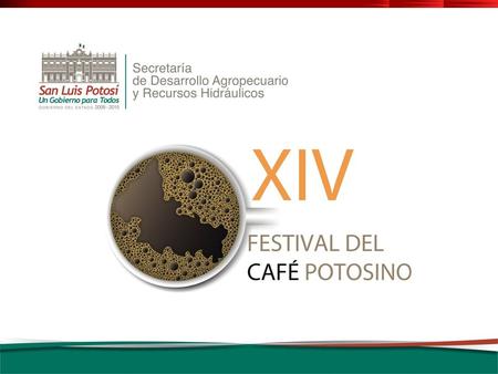 OBJETIVO GENERAL Consolidar el Festival del Café Potosino como la mayor plataforma de comercialización, proyección y difusión del café estatal, instituyéndose.
