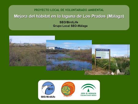 Mejora del hábitat en la laguna de Los Prados (Málaga)