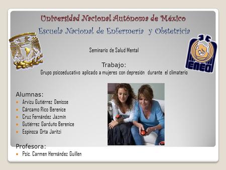 Universidad Nacional Autónoma de México Escuela Nacional de Enfermería y Obstetricia Seminario de Salud Mental Trabajo: Grupo psicoeducativo aplicado a.