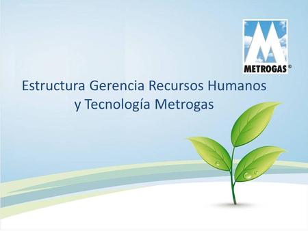 Estructura Gerencia Recursos Humanos y Tecnología Metrogas