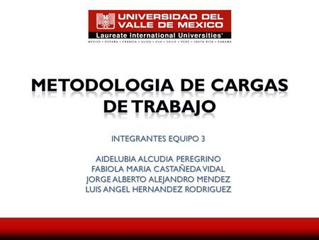 METODOLOGIA DE CARGAS DE TRABAJO