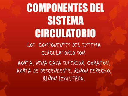 COMPONENTES DEL SISTEMA CIRCULATORIO