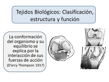 Tejidos Biológicos: Clasificación, estructura y función