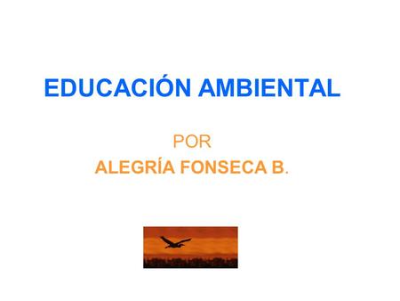 EDUCACIÓN AMBIENTAL POR ALEGRÍA FONSECA B..