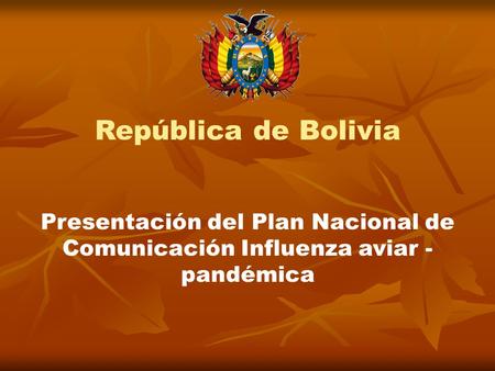 República de Bolivia Presentación del Plan Nacional de Comunicación Influenza aviar -pandémica.