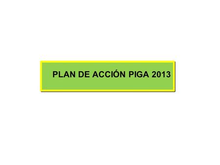 PLAN DE ACCIÓN PIGA 2013 1.