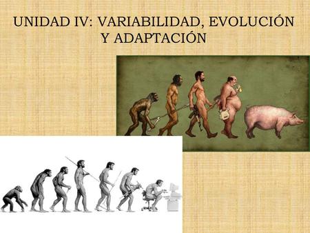 UNIDAD IV: VARIABILIDAD, EVOLUCIÓN Y ADAPTACIÓN