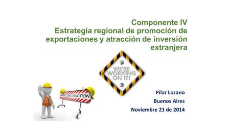 Componente IV Estrategia regional de promoción de exportaciones y atracción de inversión extranjera Pilar Lozano Buenos Aires Noviembre 21 de 2014.