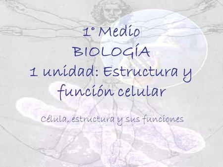 1° Medio BIOLOGÍA 1 unidad: Estructura y función celular