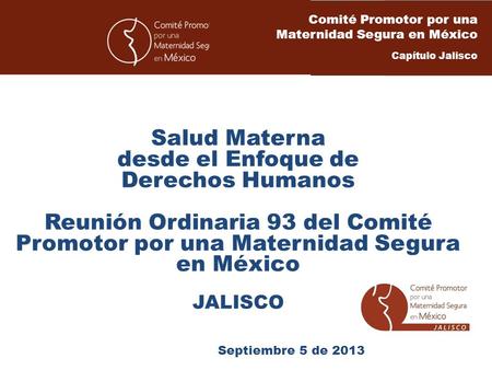Salud Materna desde el Enfoque de Derechos Humanos Reunión Ordinaria 93 del Comité Promotor por una Maternidad Segura en México JALISCO Septiembre 5 de.