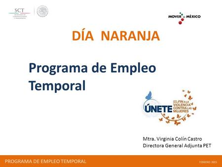 PROGRAMA DE EMPLEO TEMPORAL FEBRERO 2015 Programa de Empleo Temporal Mtra. Virginia Colín Castro Directora General Adjunta PET DÍA NARANJA.