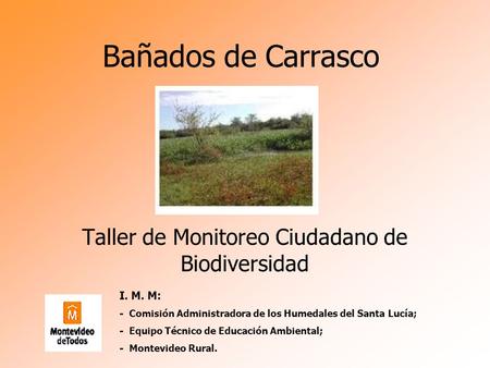 Bañados de Carrasco Taller de Monitoreo Ciudadano de Biodiversidad I. M. M: - Comisión Administradora de los Humedales del Santa Lucía; - Equipo Técnico.