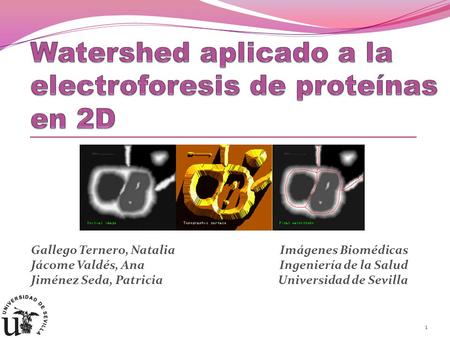 Watershed aplicado a la electroforesis de proteínas en 2D