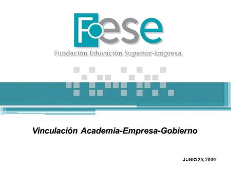 Vinculación Academia-Empresa-Gobierno JUNIO 25, 2009.