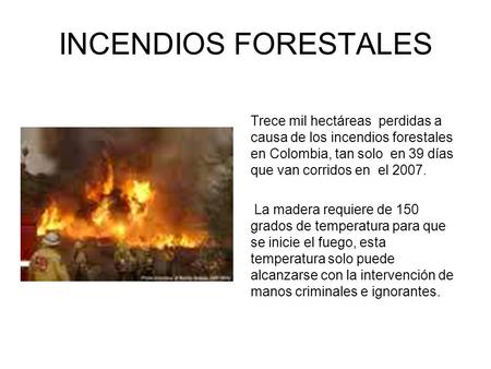 INCENDIOS FORESTALES Trece mil hectáreas perdidas a causa de los incendios forestales en Colombia, tan solo en 39 días que van corridos en el 2007. La.