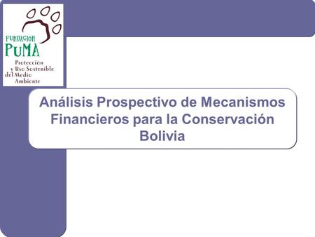 1 Análisis Prospectivo de Mecanismos Financieros para la Conservación Bolivia.