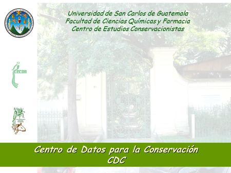 Universidad de San Carlos de Guatemala Facultad de Ciencias Químicas y Farmacia Centro de Estudios Conservacionistas Centro de Datos para la Conservación.