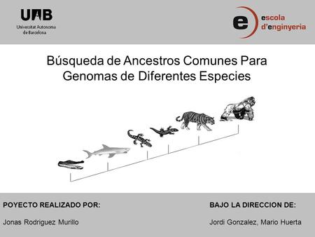 Búsqueda de Ancestros Comunes Para Genomas de Diferentes Especies