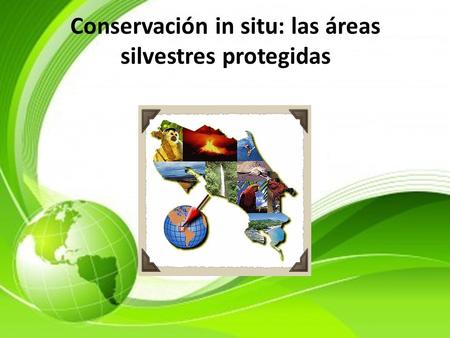 Conservación in situ: las áreas silvestres protegidas