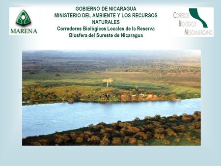 GOBIERNO DE NICARAGUA MINISTERIO DEL AMBIENTE Y LOS RECURSOS NATURALES Corredores Biológicos Locales de la Reserva Biosfera del Sureste de Nicaragua.
