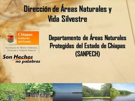 Dirección de Áreas Naturales y Vida Silvestre Departamento de Áreas Naturales Protegidas del Estado de Chiapas (SANPECH)