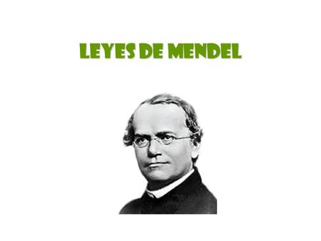 LEYES DE MENDEL.