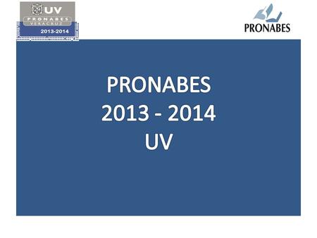 PRONABES 2013 - 2014 UV.